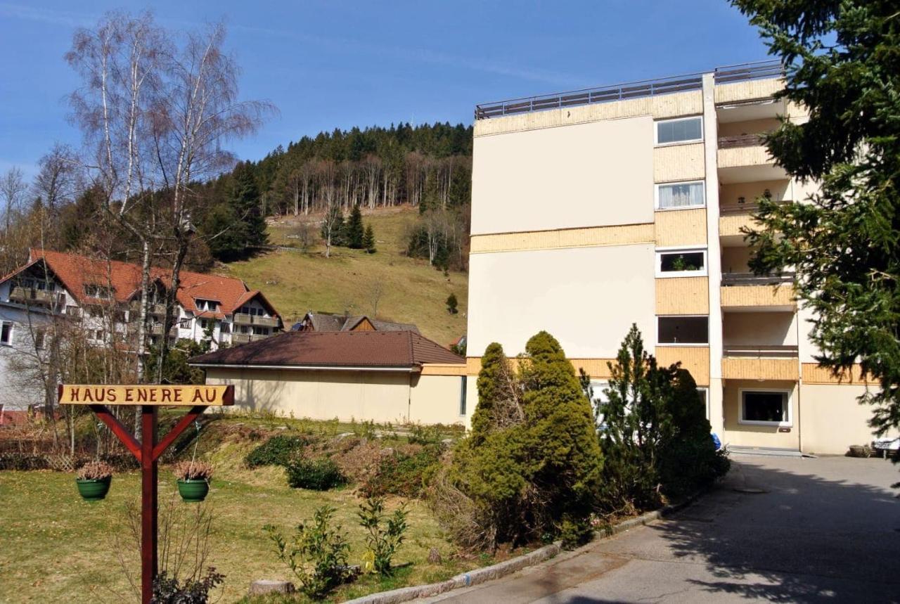 Haus Enere Au Fewo Antonia Und Fewo Milan Тодтмос Экстерьер фото
